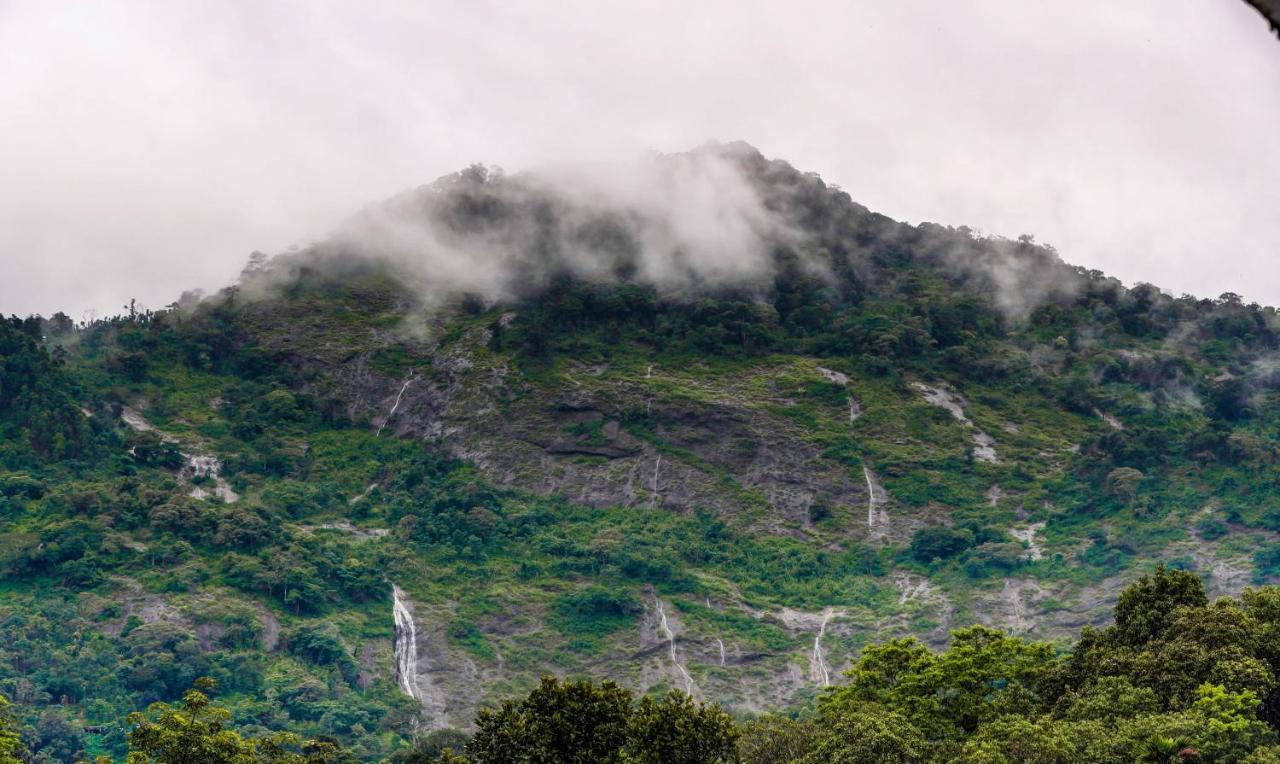 Treebo Trend Misty Garden Resorts With Mountain View Munnar Zewnętrze zdjęcie