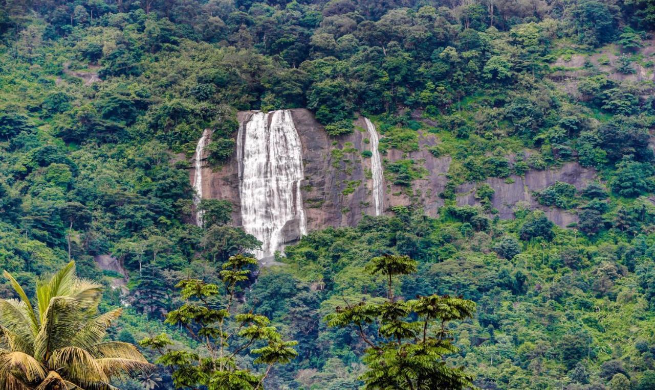 Treebo Trend Misty Garden Resorts With Mountain View Munnar Zewnętrze zdjęcie